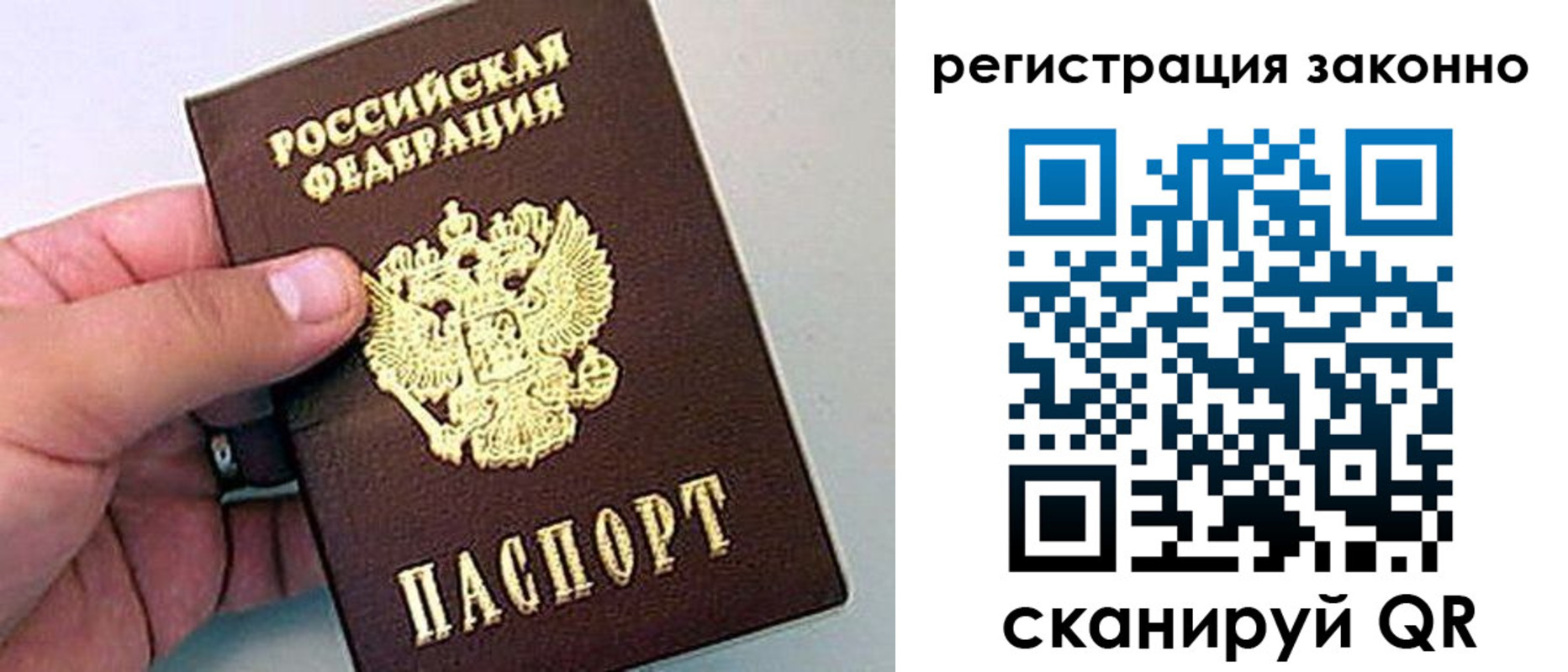 временная регистрация поиск в Камчатском крае